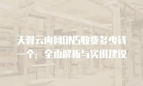 天翼云内网DNS收费多少钱一个：全面解析与实用建议