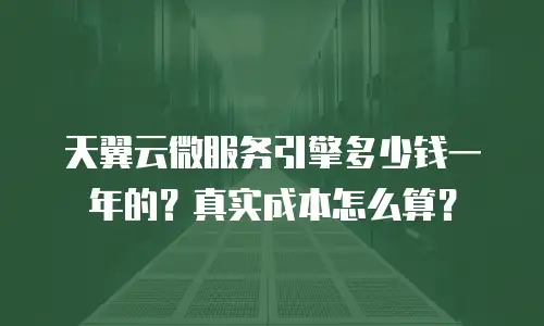 天翼云微服务引擎多少钱一年的？真实成本怎么算？