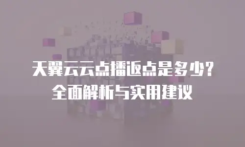 天翼云云点播返点是多少？全面解析与实用建议