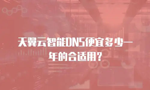 天翼云智能DNS便宜多少一年的合适用？