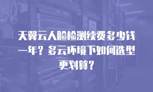 天翼云人脸检测续费多少钱一年？多云环境下如何选型更划算？