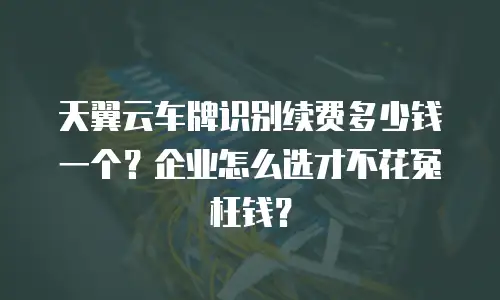 天翼云车牌识别续费多少钱一个？企业怎么选才不花冤枉钱？