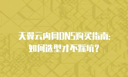 天翼云内网DNS购买指南：如何选型才不踩坑？
