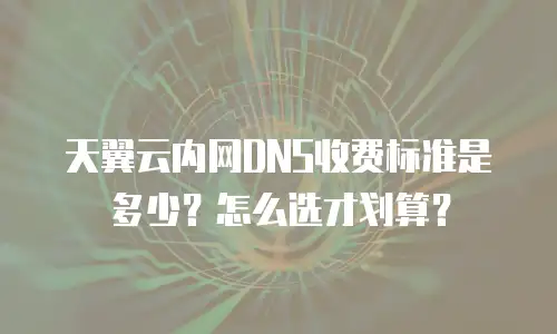 天翼云内网DNS收费标准是多少？怎么选才划算？