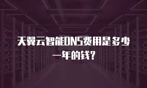 天翼云智能DNS费用是多少一年的钱？