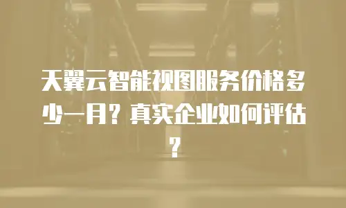 天翼云智能视图服务价格多少一月？真实企业如何评估？