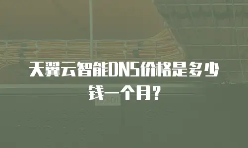 天翼云智能DNS价格是多少钱一个月？