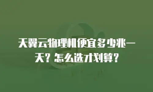 天翼云物理机便宜多少兆一天？怎么选才划算？