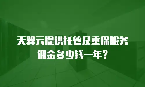 天翼云提供托管及重保服务佣金多少钱一年？
