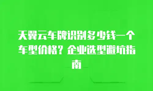 天翼云车牌识别多少钱一个车型价格？企业选型避坑指南