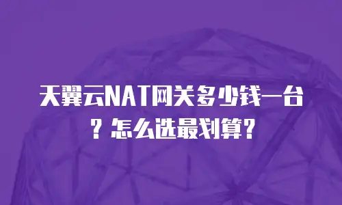 天翼云NAT网关多少钱一台？怎么选最划算？
