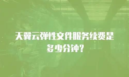 天翼云弹性文件服务续费是多少分钟？