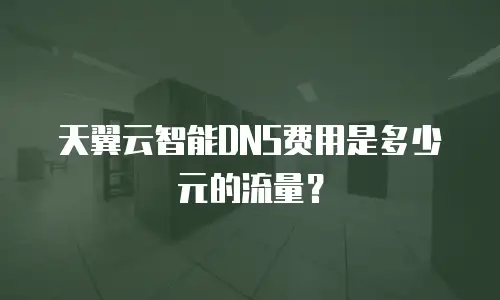 天翼云智能DNS费用是多少元的流量？