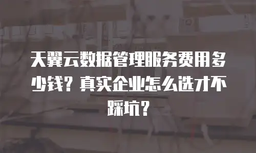 天翼云数据管理服务费用多少钱？真实企业怎么选才不踩坑？