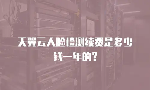 天翼云人脸检测续费是多少钱一年的？