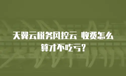 天翼云税务风控云 收费怎么算才不吃亏？