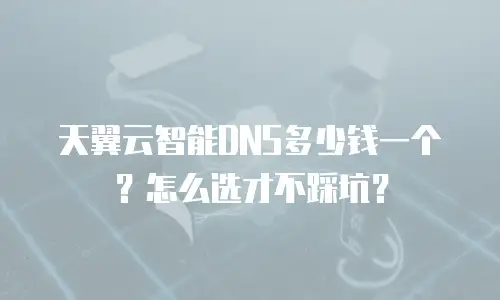 天翼云智能DNS多少钱一个？怎么选才不踩坑？