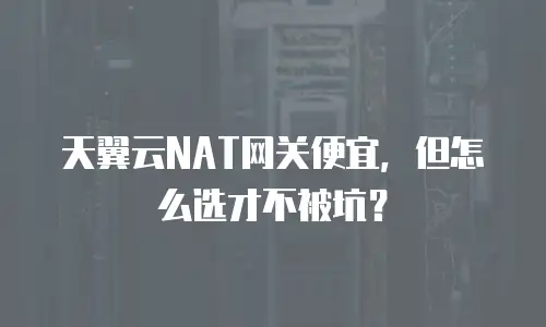 天翼云NAT网关便宜，但怎么选才不被坑？
