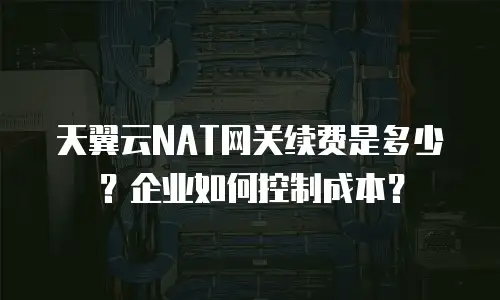 天翼云NAT网关续费是多少？企业如何控制成本？