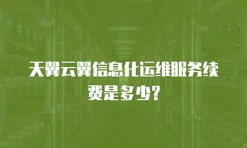天翼云翼信息化运维服务续费是多少？