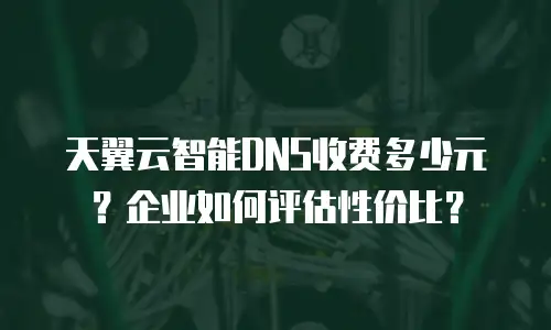天翼云智能DNS收费多少元？企业如何评估性价比？