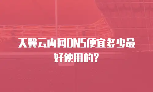天翼云内网DNS便宜多少最好使用的？
