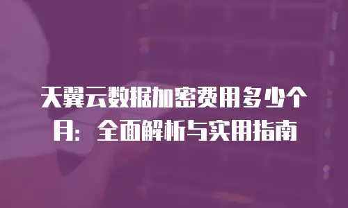 天翼云数据加密费用多少个月：全面解析与实用指南