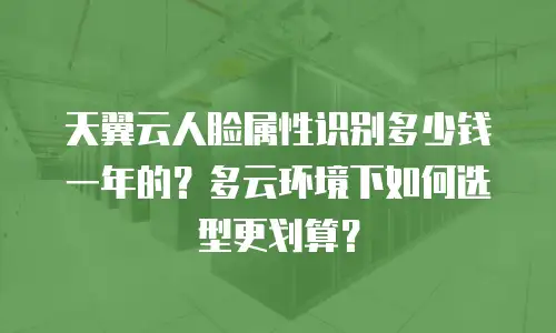 天翼云人脸属性识别多少钱一年的？多云环境下如何选型更划算？