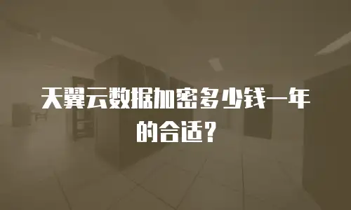 天翼云数据加密多少钱一年的合适？