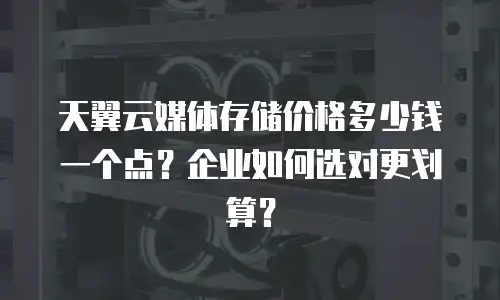 天翼云媒体存储价格多少钱一个点？企业如何选对更划算？