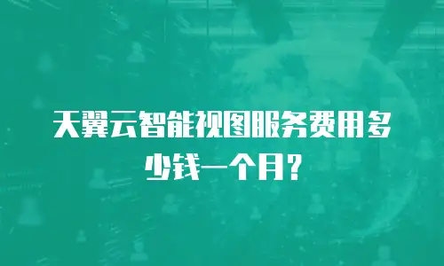 天翼云智能视图服务费用多少钱一个月？