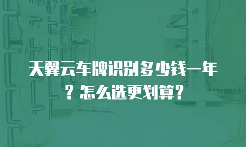 天翼云车牌识别多少钱一年？怎么选更划算？