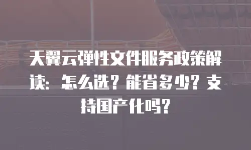 天翼云弹性文件服务政策解读：怎么选？能省多少？支持国产化吗？