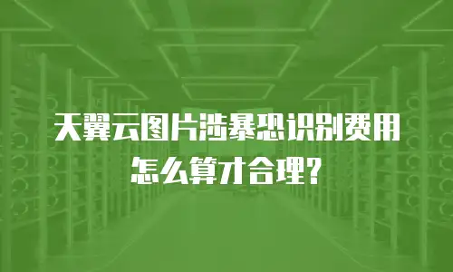 天翼云图片涉暴恐识别费用怎么算才合理？