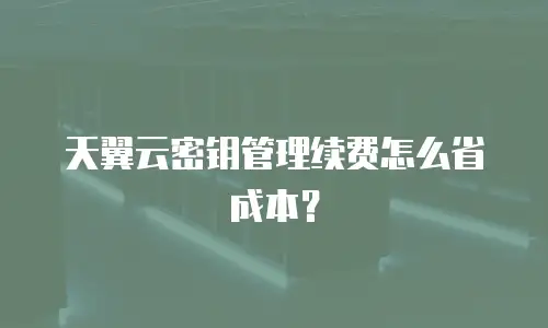 天翼云密钥管理续费怎么省成本？