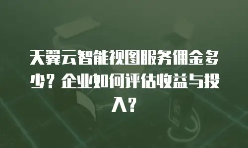 天翼云智能视图服务佣金多少？企业如何评估收益与投入？