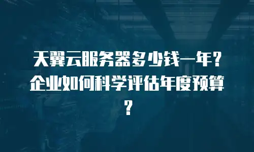 天翼云服务器多少钱一年？企业如何科学评估年度预算？