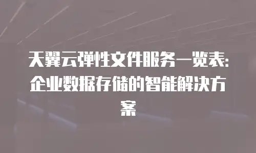 天翼云弹性文件服务一览表：企业数据存储的智能解决方案
