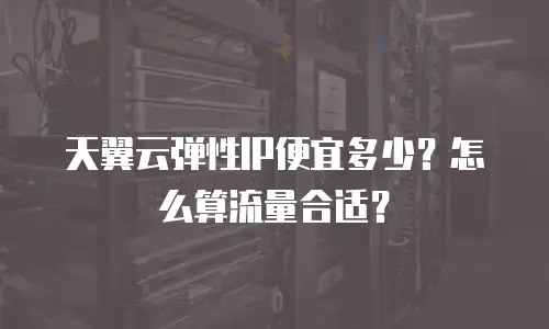 天翼云弹性IP便宜多少？怎么算流量合适？