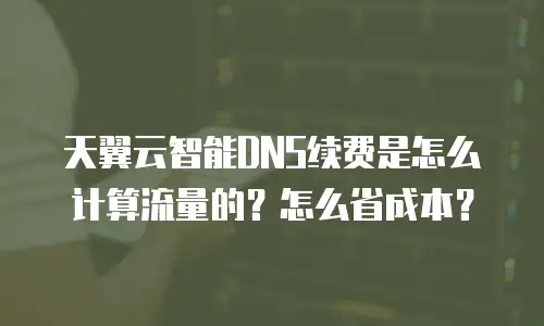 天翼云智能DNS续费是怎么计算流量的？怎么省成本？