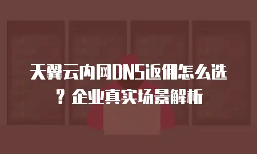 天翼云内网DNS返佣怎么选？企业真实场景解析