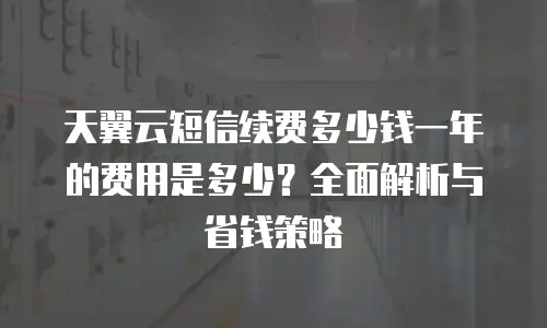 天翼云短信续费多少钱一年的费用是多少？全面解析与省钱策略