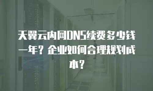 天翼云内网DNS续费多少钱一年？企业如何合理规划成本？