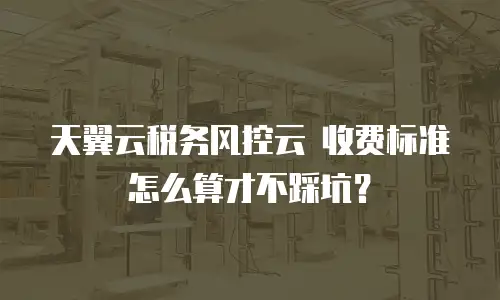 天翼云税务风控云 收费标准怎么算才不踩坑？