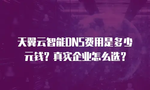 天翼云智能DNS费用是多少元钱？真实企业怎么选？