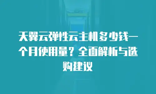 天翼云弹性云主机多少钱一个月使用量？全面解析与选购建议