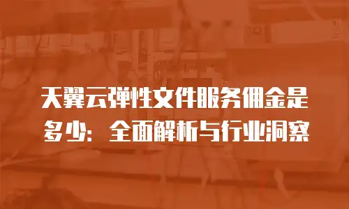 天翼云弹性文件服务佣金是多少：全面解析与行业洞察