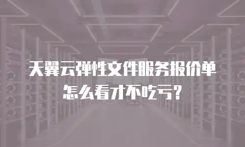 天翼云弹性文件服务报价单怎么看才不吃亏？