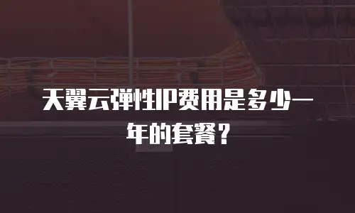 天翼云弹性IP费用是多少一年的套餐？