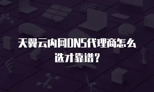 天翼云内网DNS代理商怎么选才靠谱？
